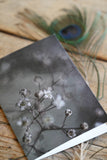 Garden Series - Greeting Cards