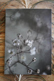 Garden Series - Greeting Cards