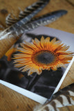Garden Series - Greeting Cards