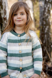 Jesse Cardi
