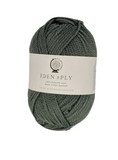 Wild Earth Yarns Eden 8ply