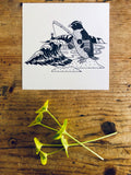Tawaki - Fiordland Crested Penguin - Gift Card